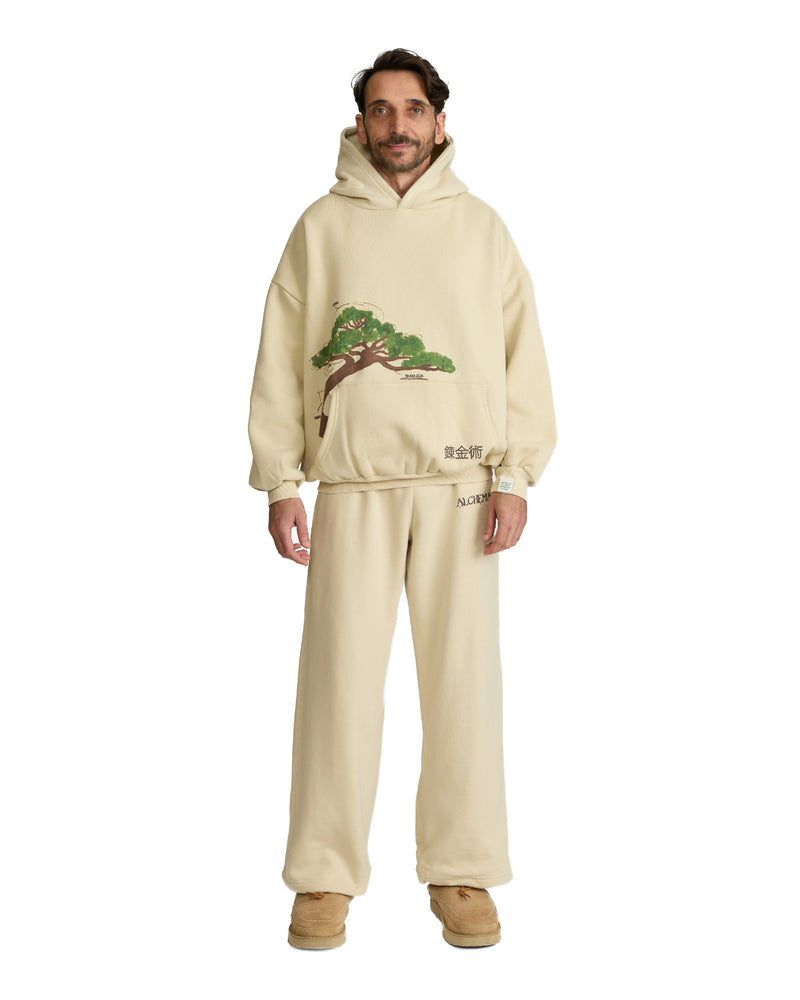 After image of Leonardo