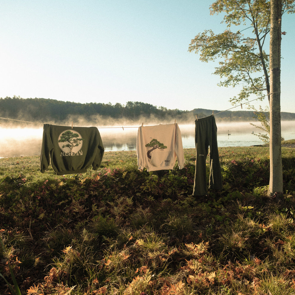 ABOUT THis COLLECTION